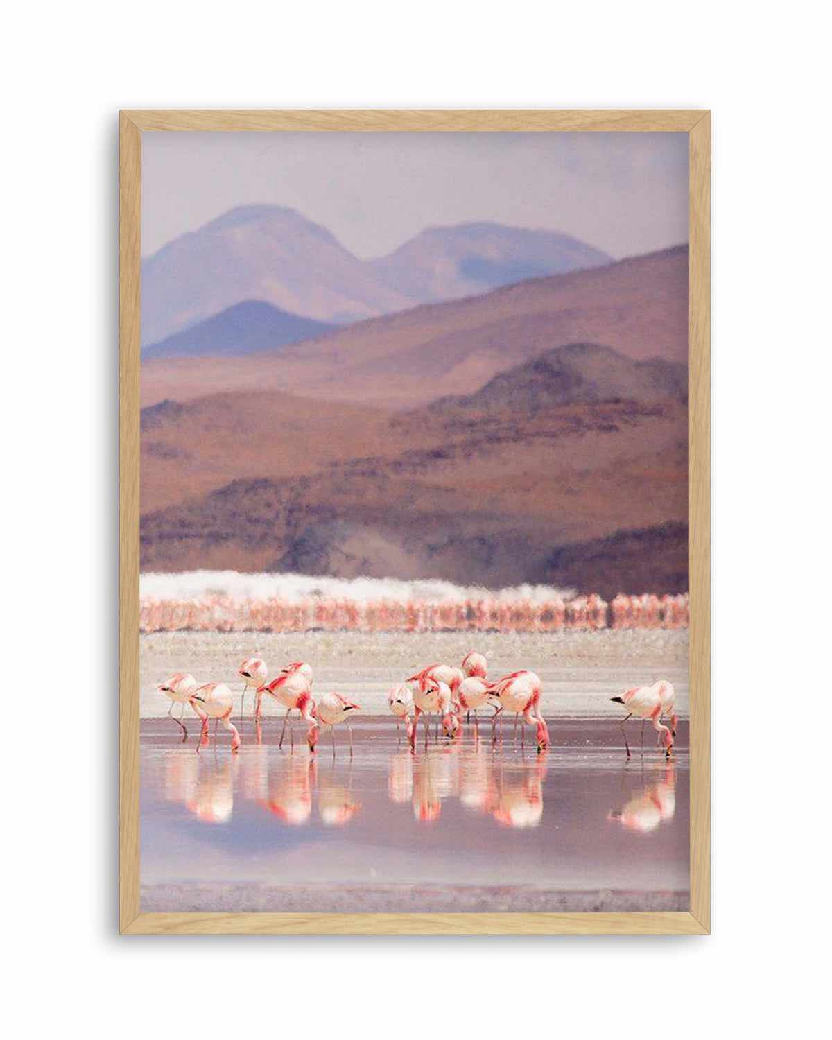 Flamingos | PT Art Print