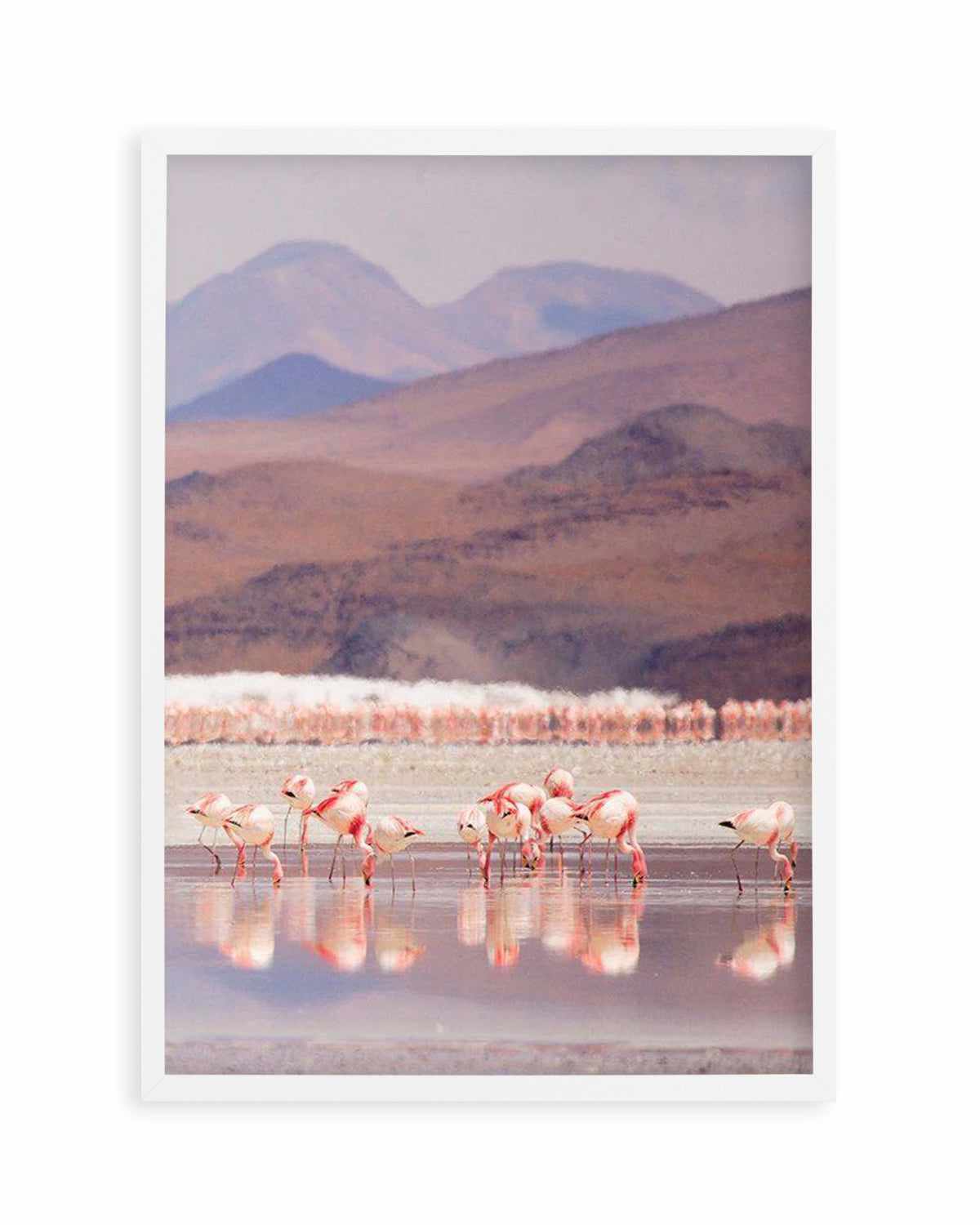 Flamingos | PT Art Print