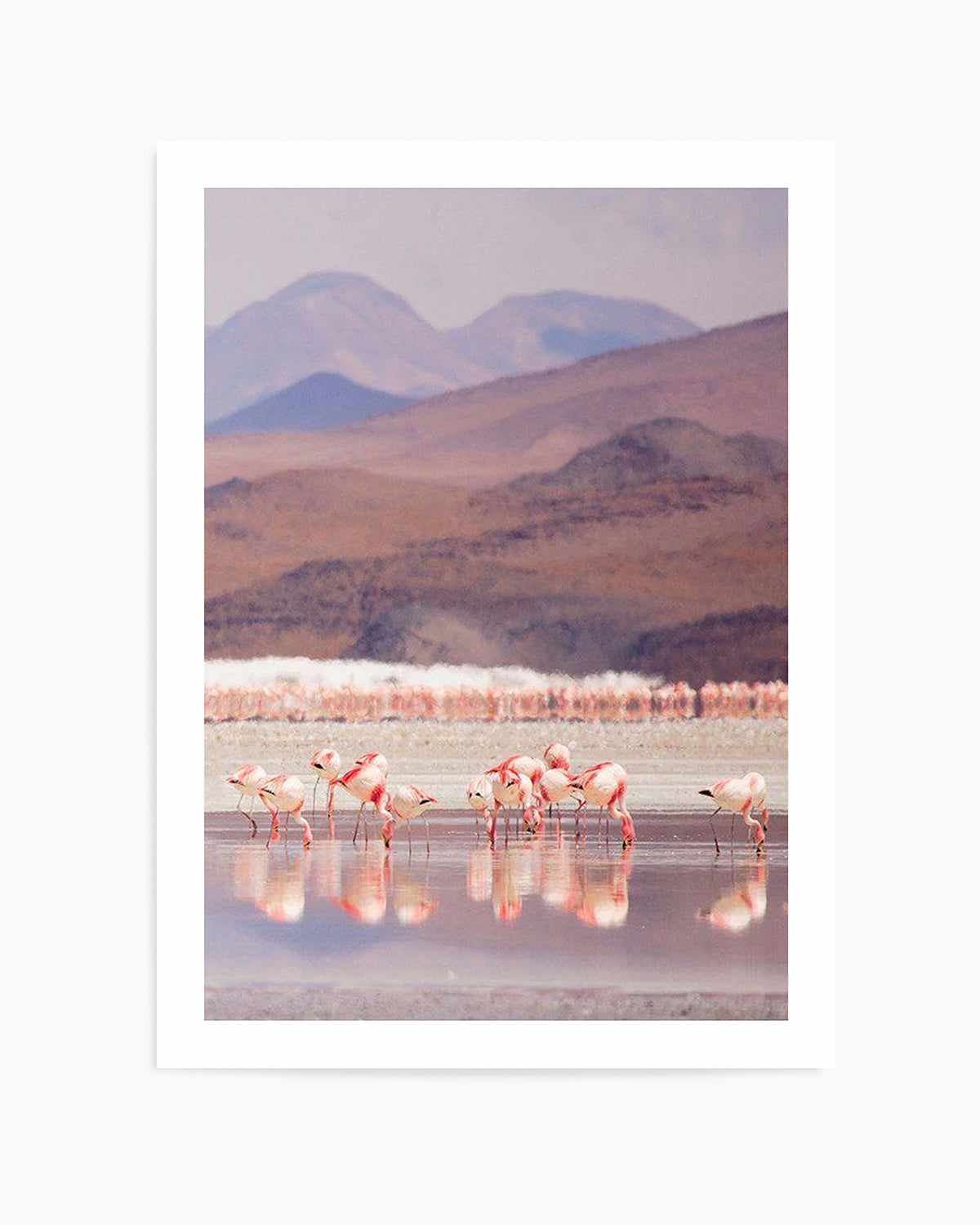 Flamingos | PT Art Print