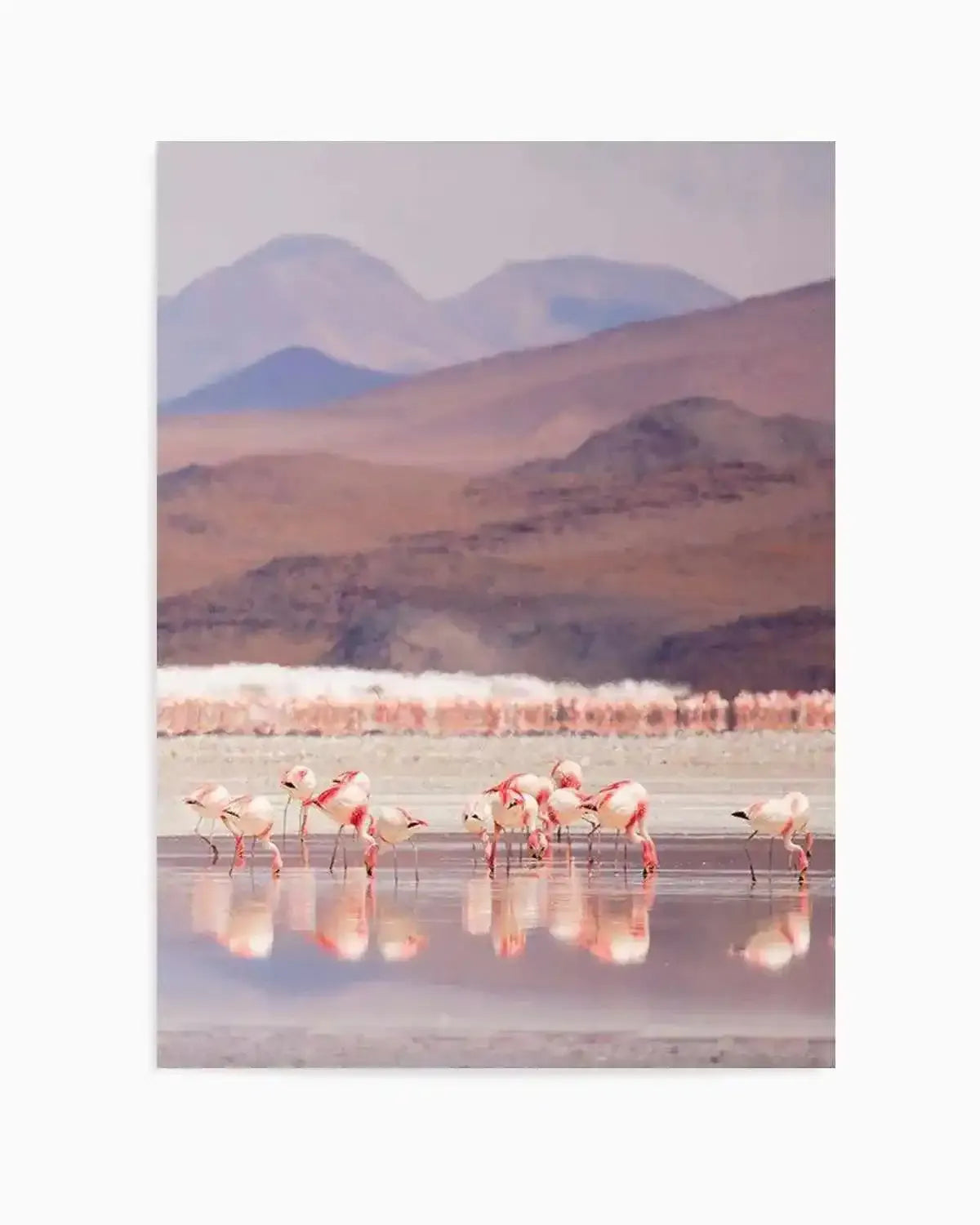 Flamingos | PT Art Print from Olive et Oriel where you can shop wallpaper and artworks online