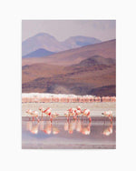 Flamingos | PT Art Print