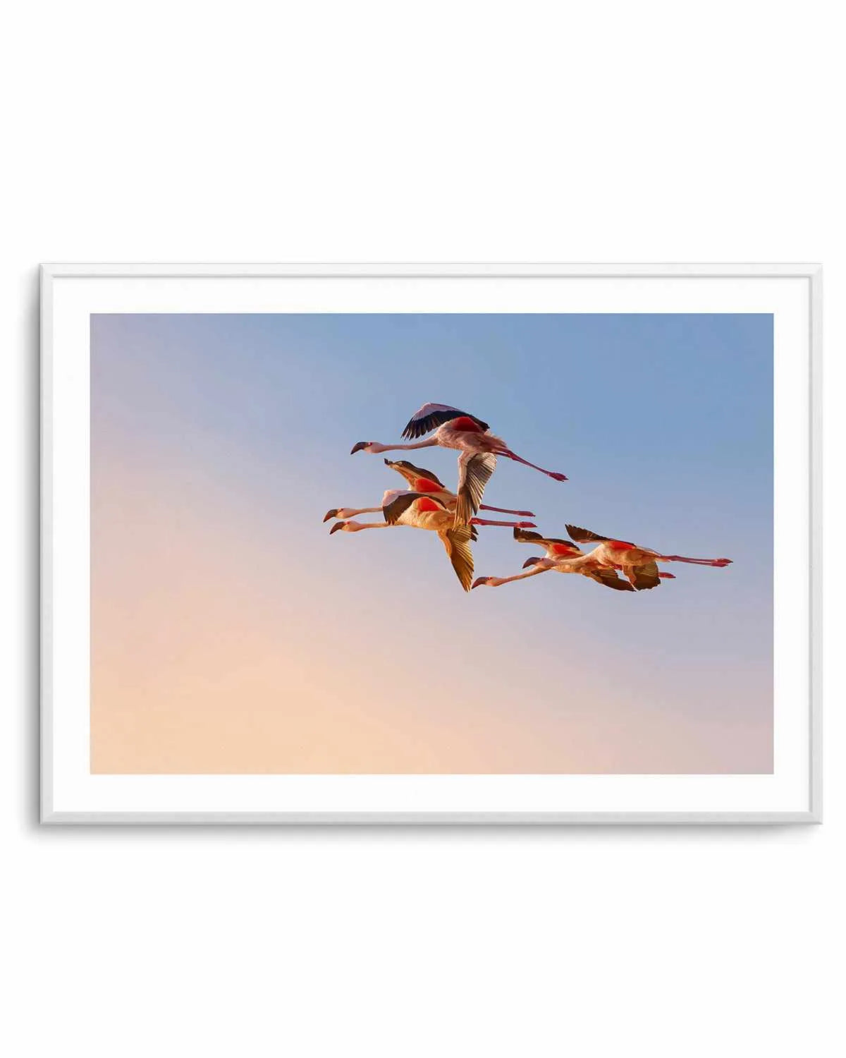 Flamingos in Flight by Phillip Chang Art Print from Olive et Oriel where you can shop wallpaper and artworks online