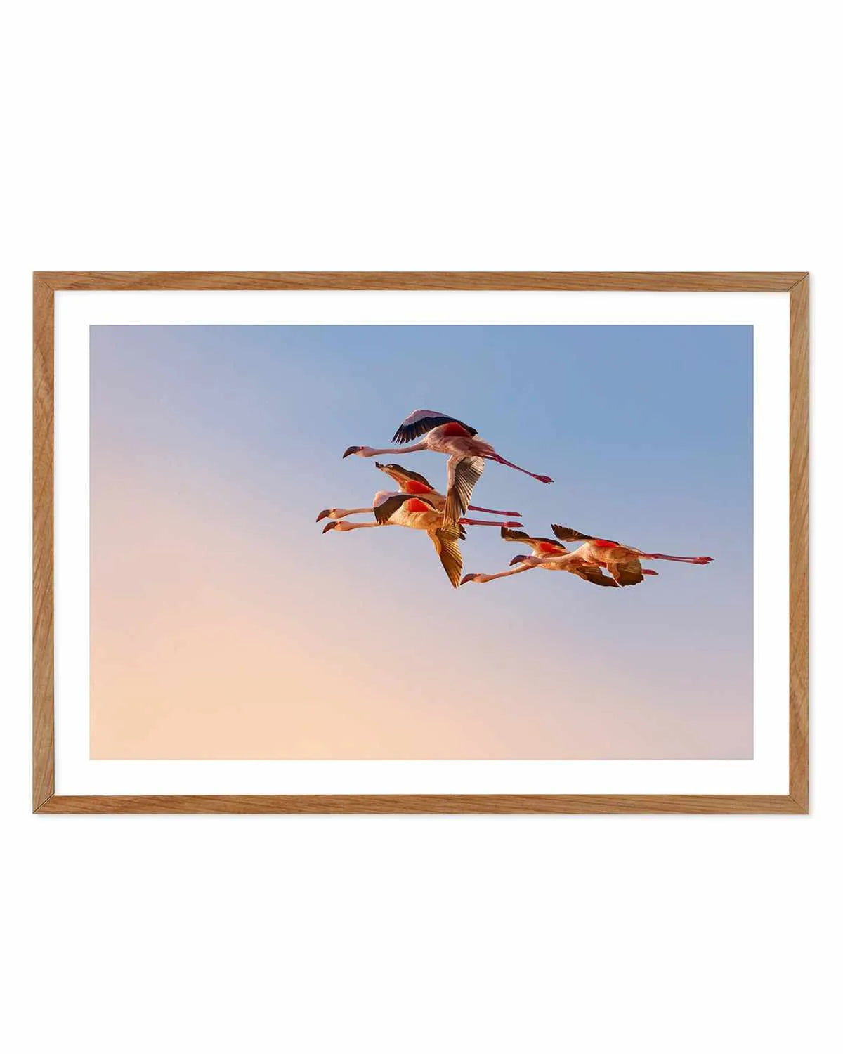 Flamingos in Flight by Phillip Chang Art Print from Olive et Oriel where you can shop wallpaper and artworks online