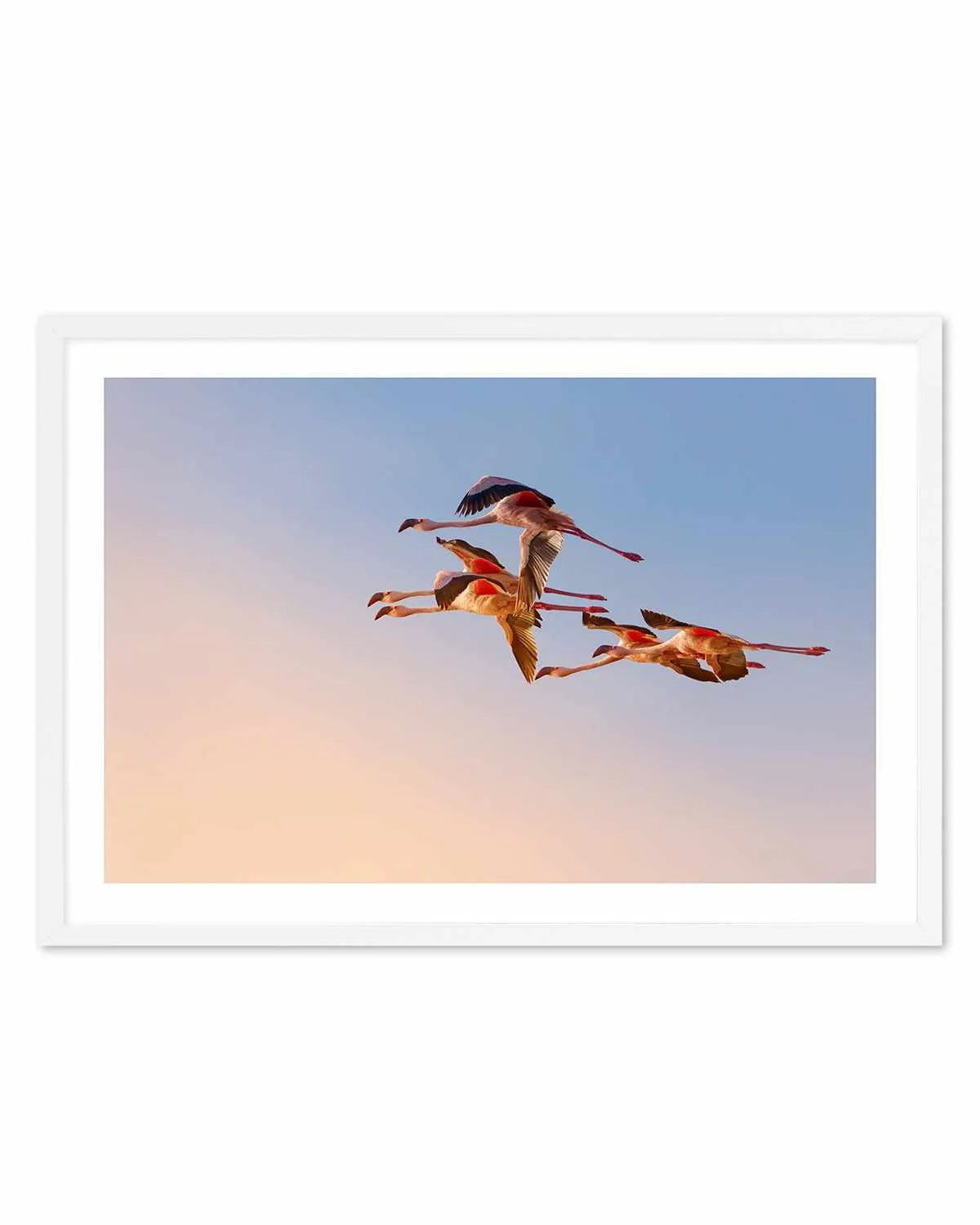 Flamingos in Flight by Phillip Chang Art Print from Olive et Oriel where you can shop wallpaper and artworks online