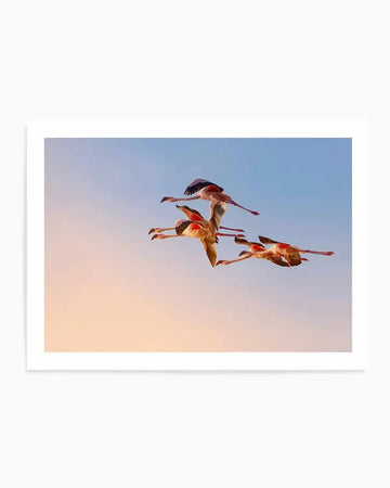 Flamingos in Flight by Phillip Chang Art Print from Olive et Oriel where you can shop wallpaper and artworks online