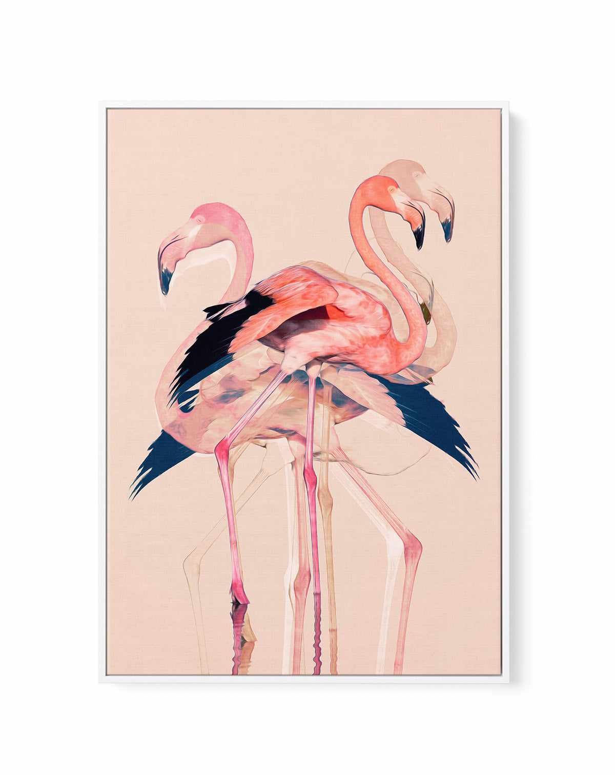 Flamingos nr. 3 By Baard Martinussen | Framed Canvas Art Print