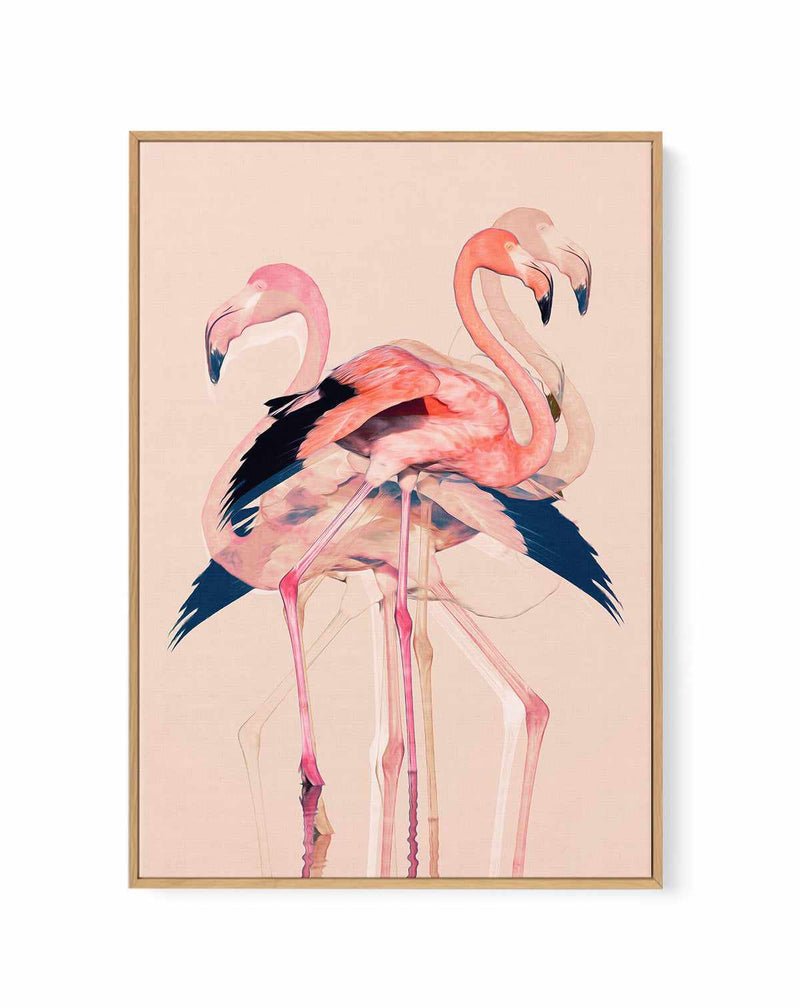 Flamingos nr. 3 By Baard Martinussen | Framed Canvas Art Print