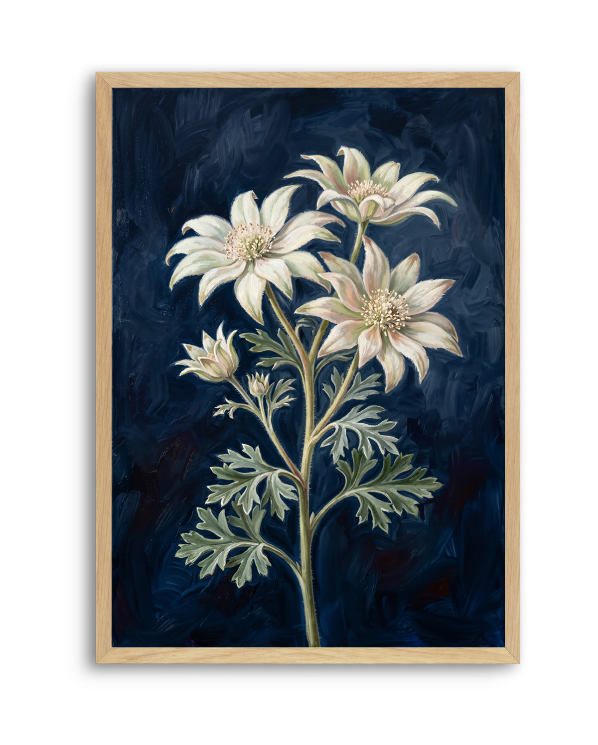 Flannel Flower On Navy Botanicals Study | Art Print