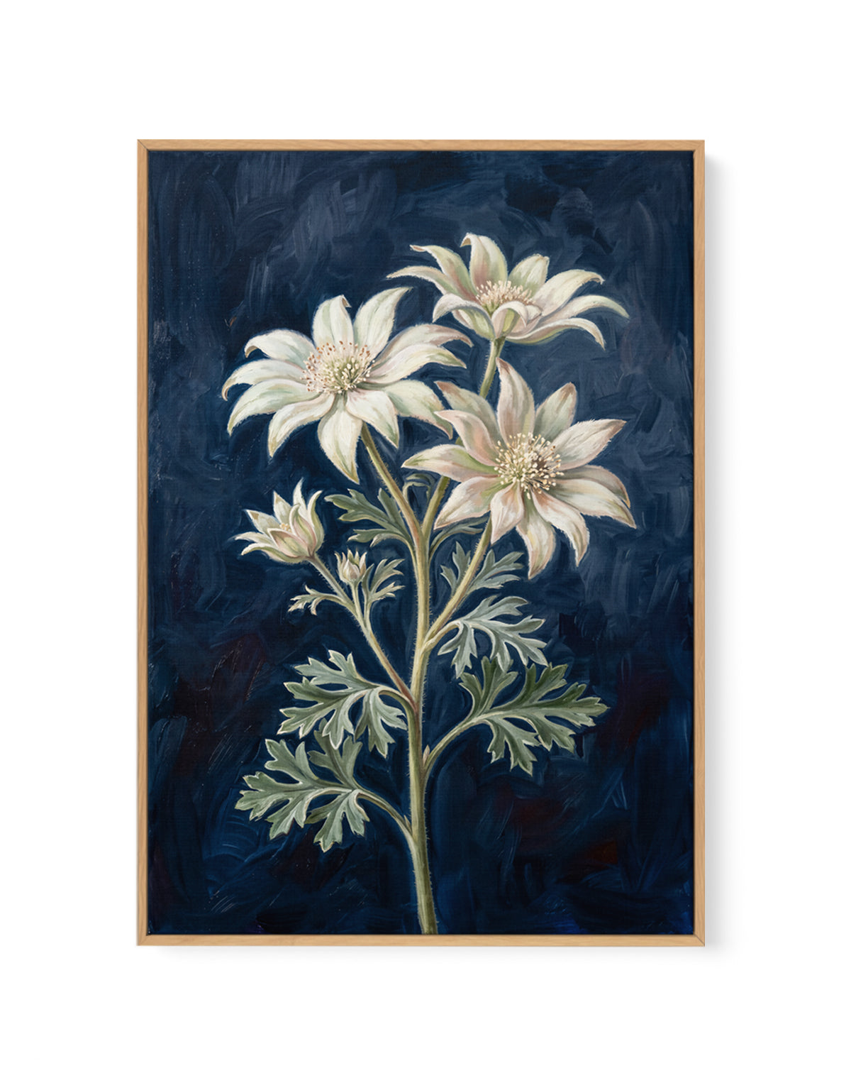 Flannel Flower On Navy Botanicals Study | Framed Canvas Art Print