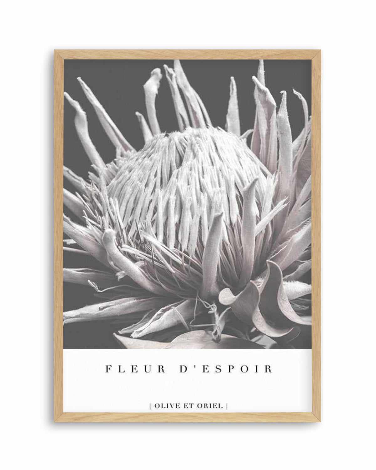 Fleur D'Espoir | King Protea Art Print