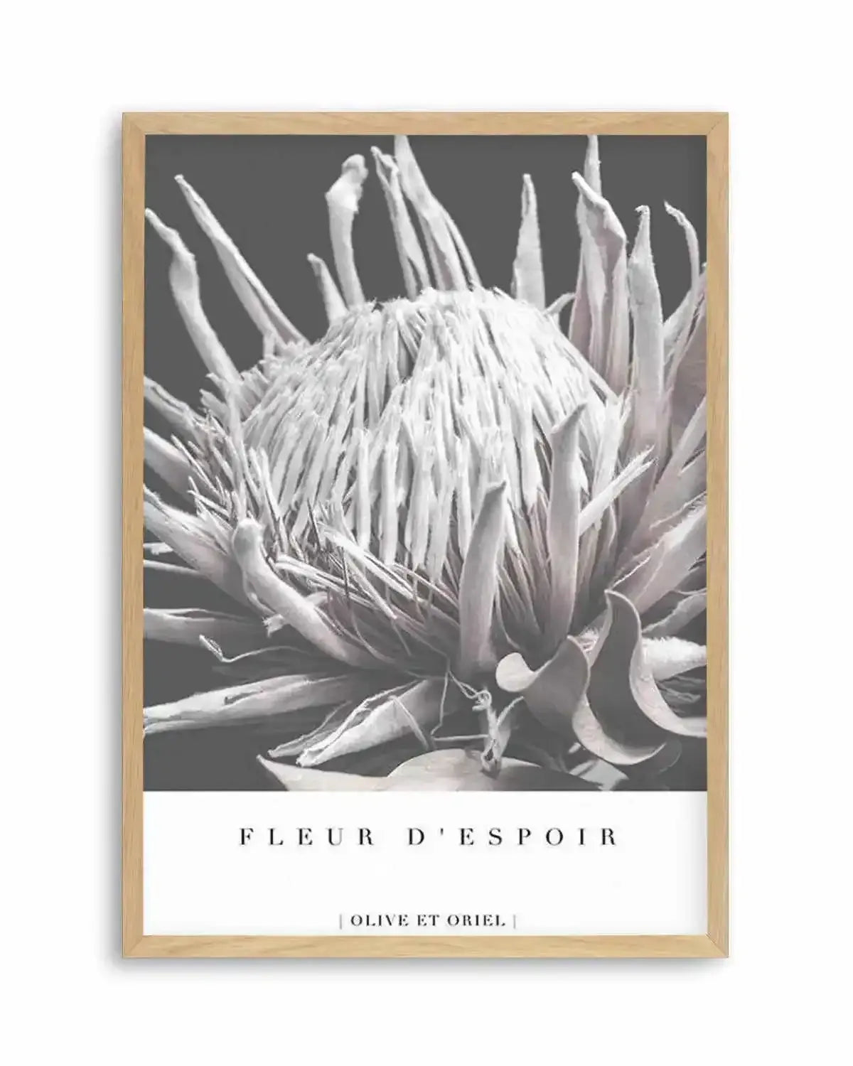 Fleur D'Espoir | King Protea Art Print from Olive et Oriel where you can shop wallpaper and artworks online