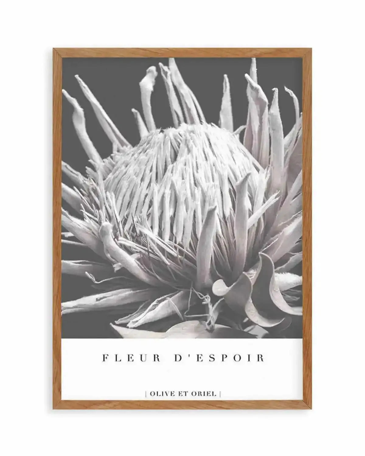 Fleur D'Espoir | King Protea Art Print from Olive et Oriel where you can shop wallpaper and artworks online