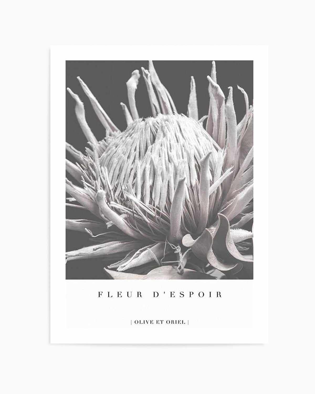 Fleur D'Espoir | King Protea Art Print