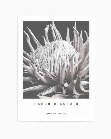 Fleur D'Espoir  King Protea Art Print art print, framed
