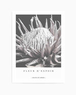 Fleur D'Espoir | King Protea Art Print