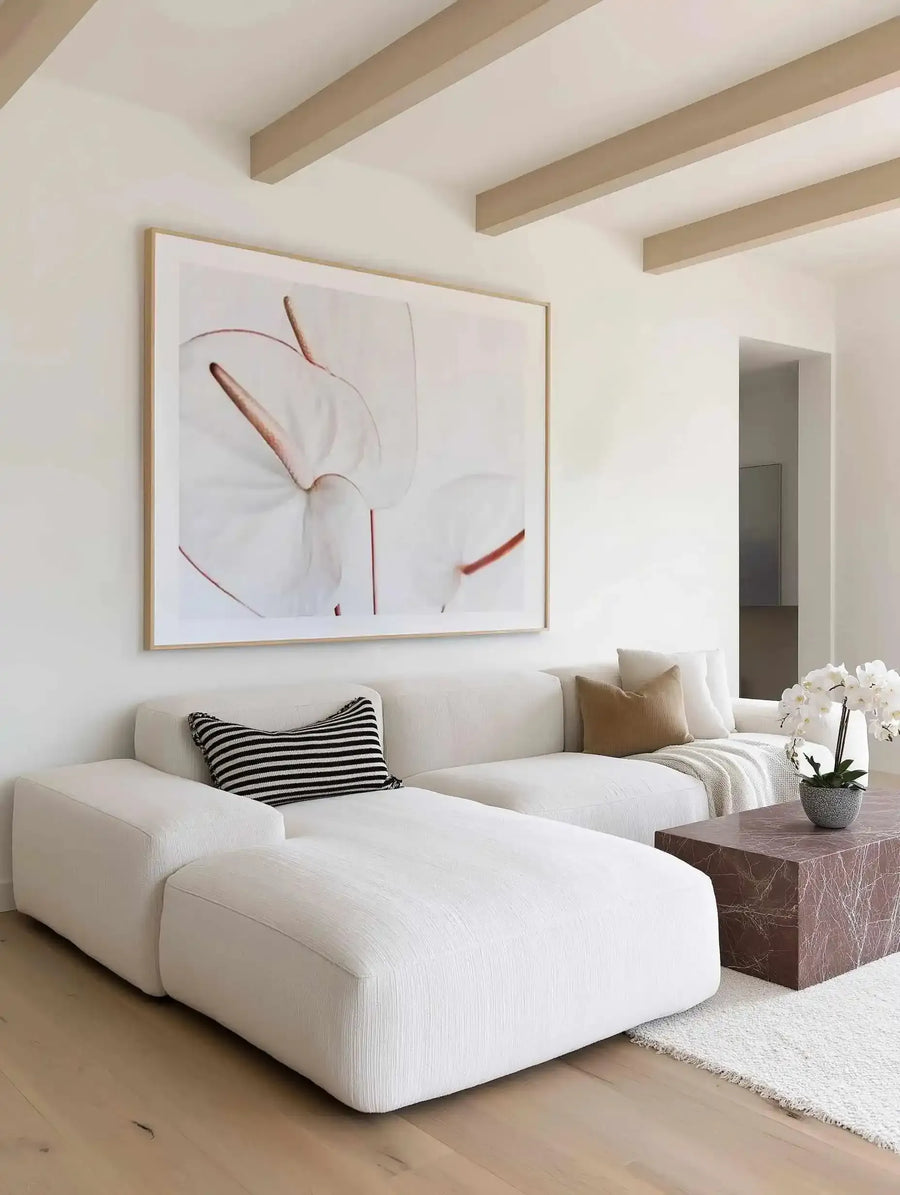 Large framed art print displayed above a white modular sofa in a minimalist living room. The print features two large, close-up white flamingo flowers (Anthurium) with prominent pink spadices and delicate red veins, set against a soft white background, with a natural wood frame and white border. The room includes a black and white striped cushion, a tan cushion, a textured cream throw, a dark red marble coffee table, and a potted white orchid.