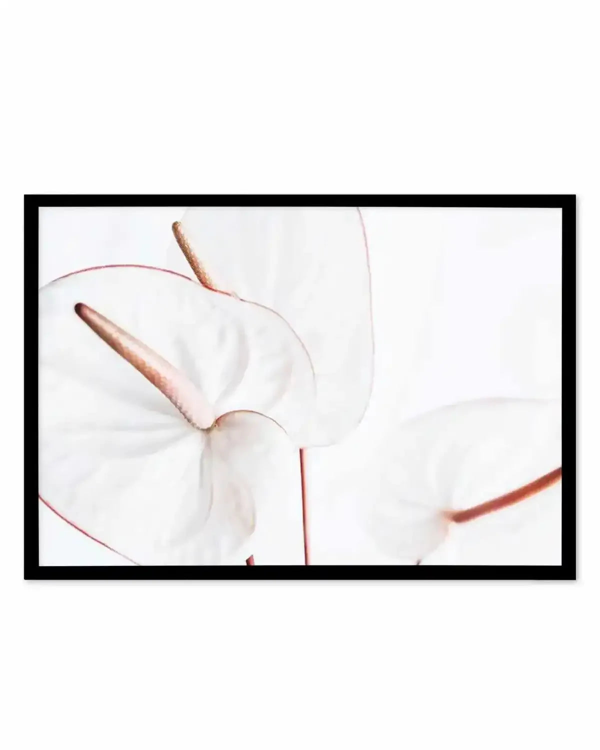 Fleur Flamingo | LS Art Print from Olive et Oriel where you can shop wallpaper and artworks online