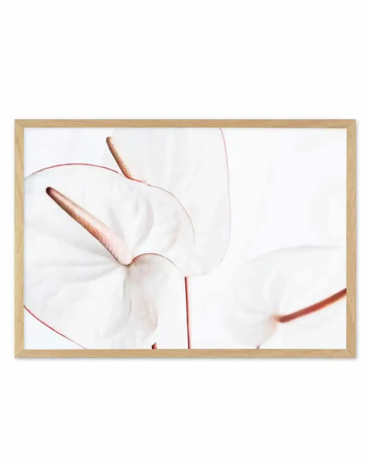 Fleur Flamingo | LS Art Print from Olive et Oriel where you can shop wallpaper and artworks online