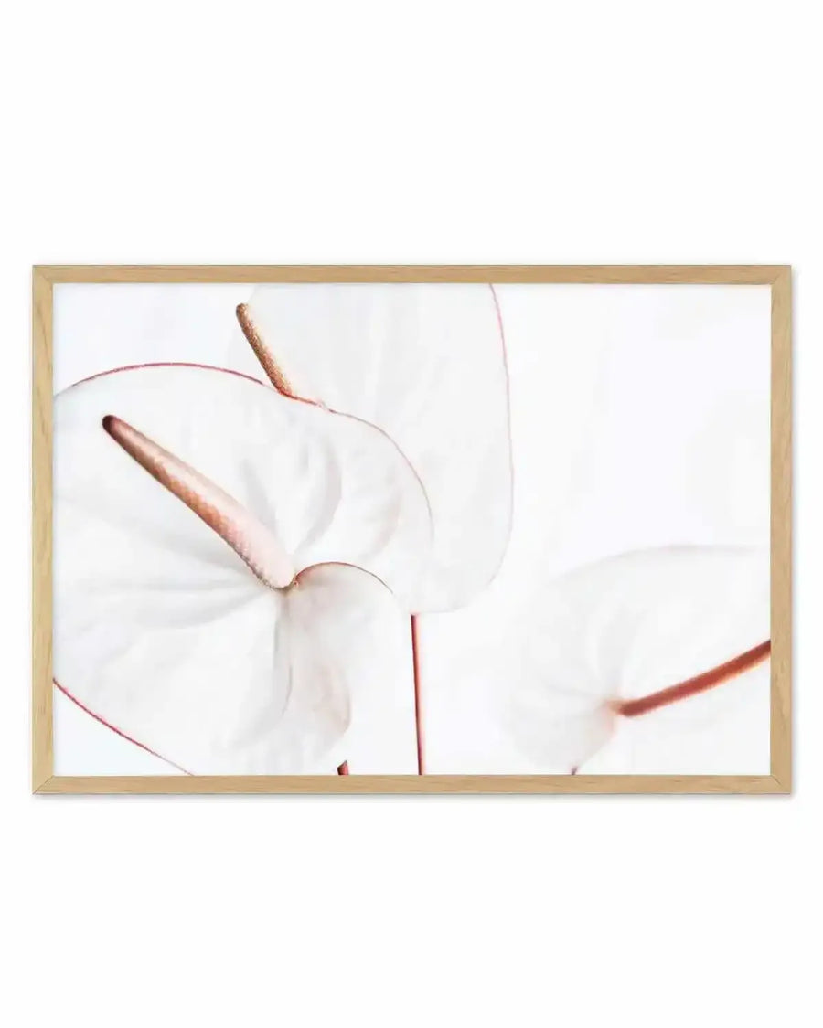 Fleur Flamingo | LS Art Print from Olive et Oriel where you can shop wallpaper and artworks online