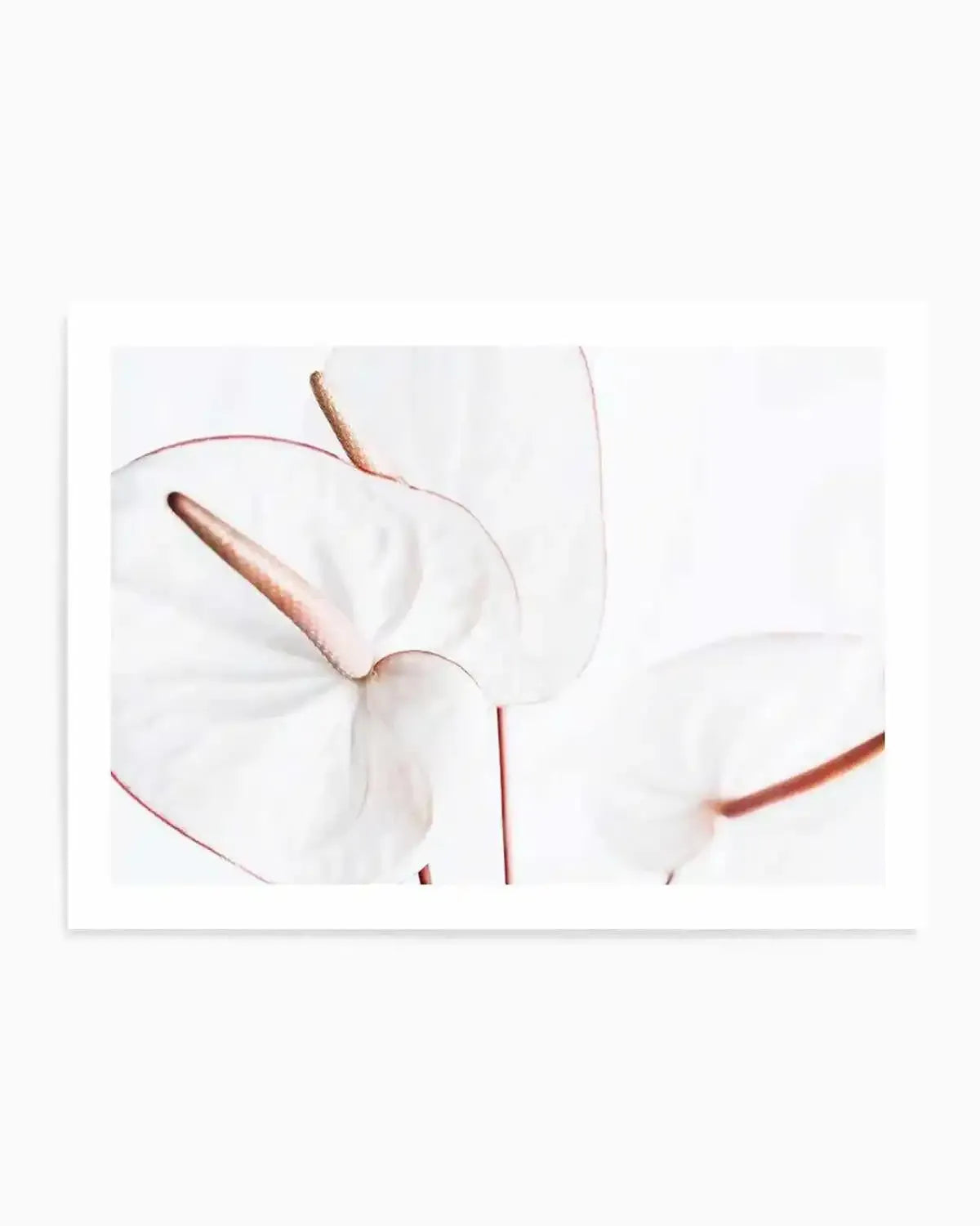 Fleur Flamingo | LS Art Print from Olive et Oriel where you can shop wallpaper and artworks online
