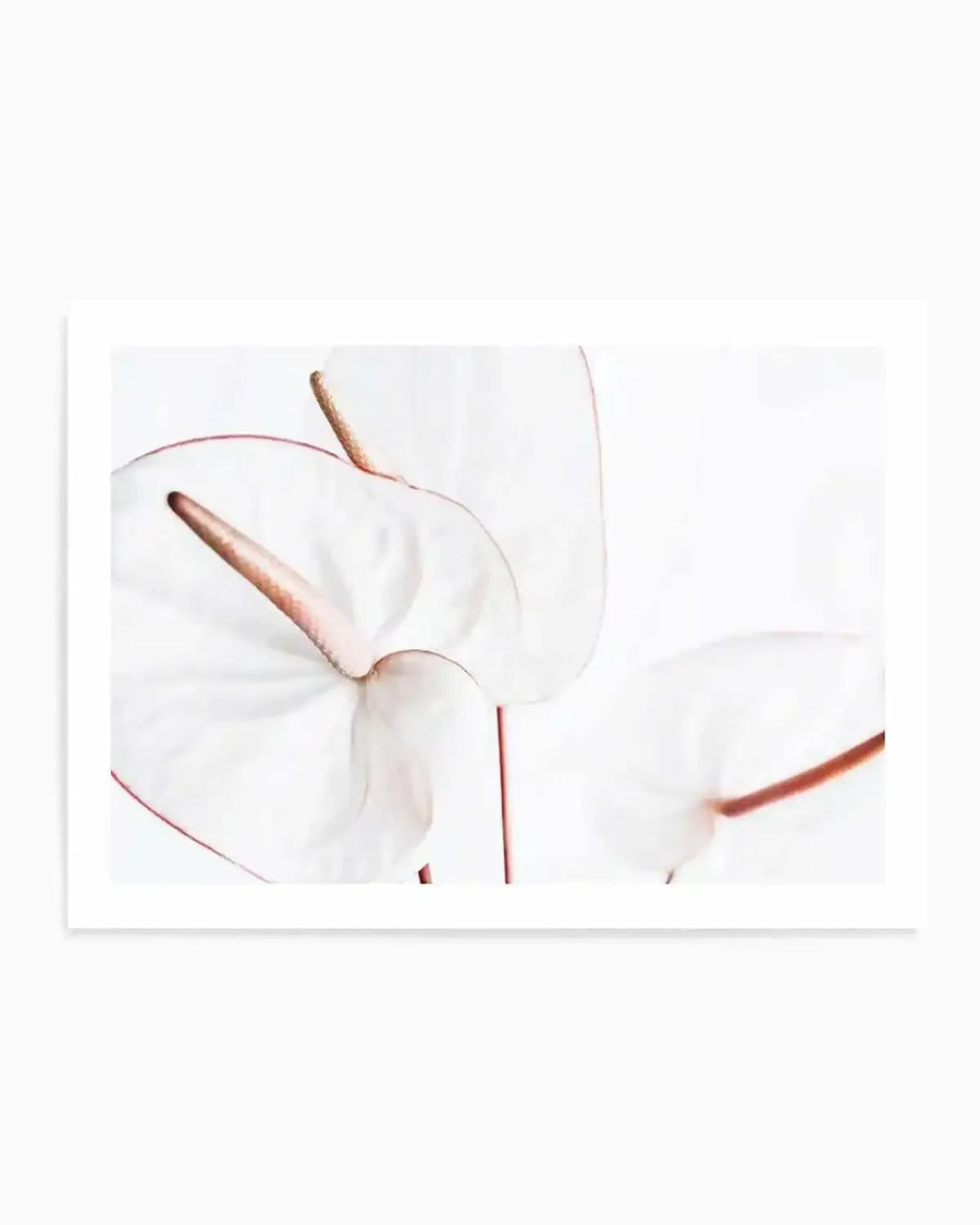 Fleur Flamingo | LS Art Print from Olive et Oriel where you can shop wallpaper and artworks online