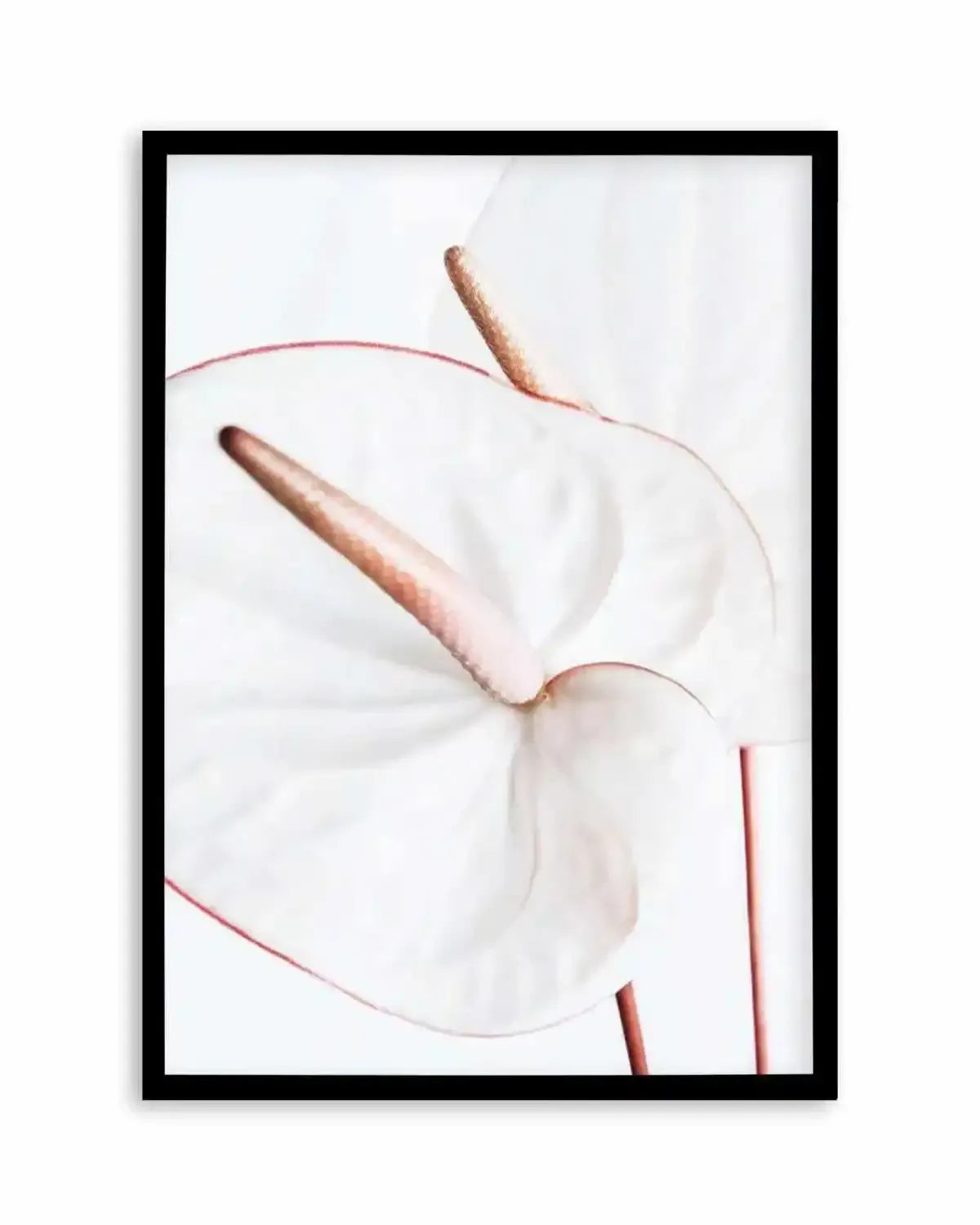 Fleur Flamingo | PT Art Print from Olive et Oriel where you can shop wallpaper and artworks online
