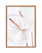 Fleur Flamingo | PT Art Print