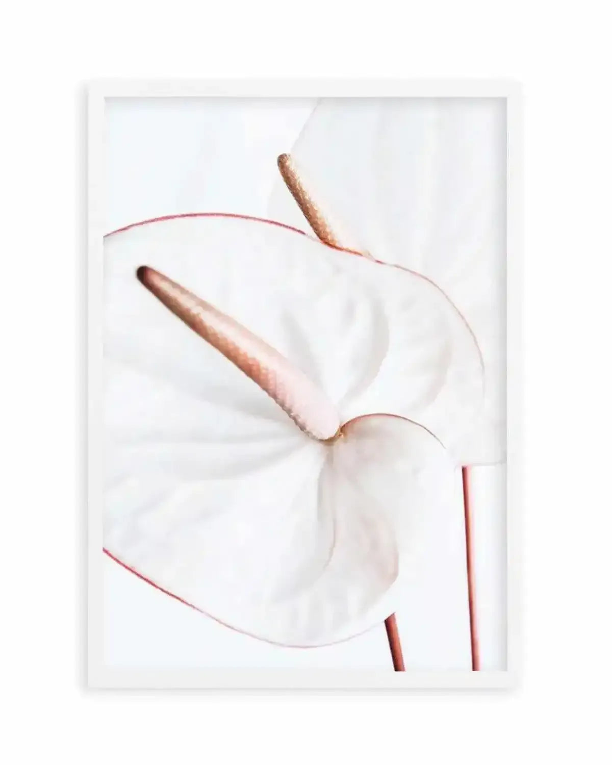 Fleur Flamingo | PT Art Print from Olive et Oriel where you can shop wallpaper and artworks online
