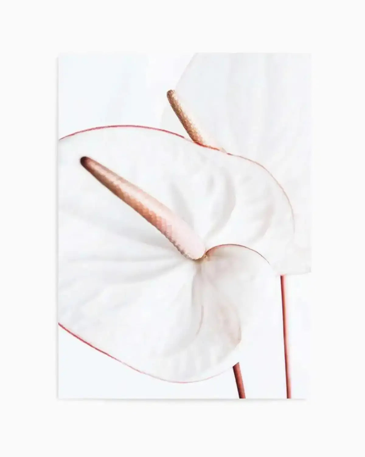 Fleur Flamingo | PT Art Print from Olive et Oriel where you can shop wallpaper and artworks online