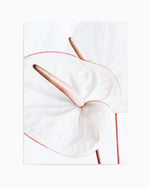 Fleur Flamingo | PT Art Print