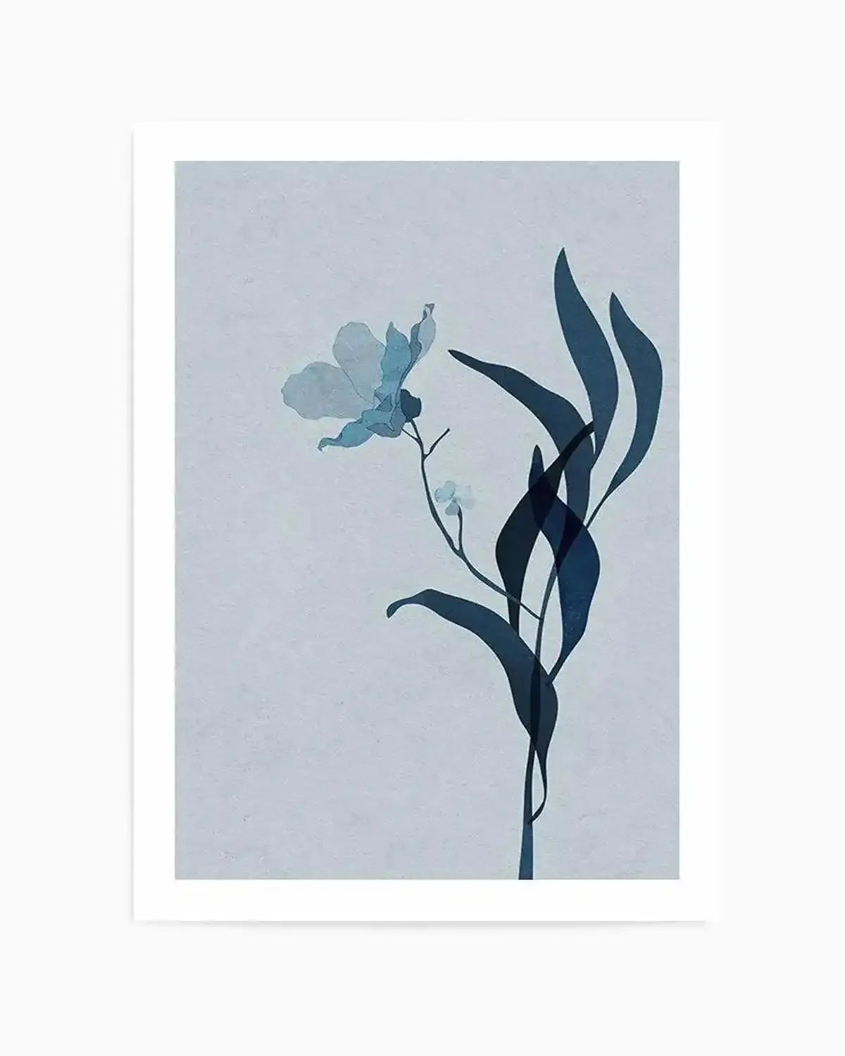 Fleur Graphique III | Blue Art Print from Olive et Oriel where you can shop wallpaper and artworks online