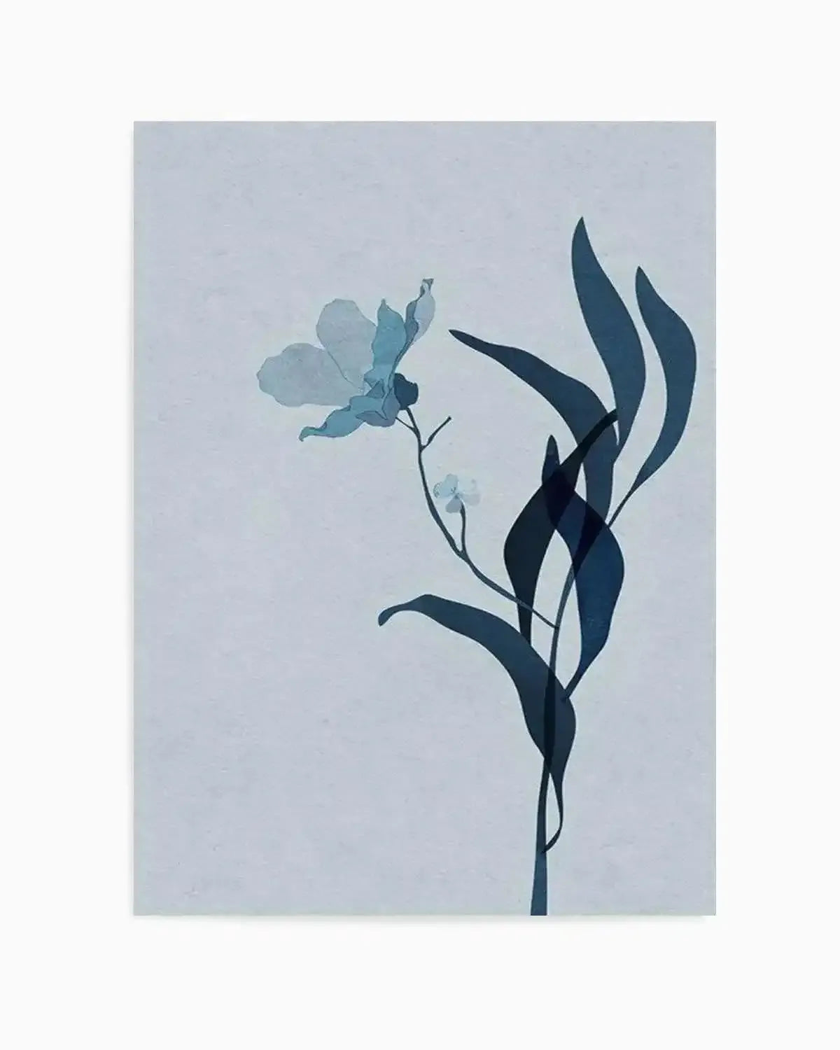Fleur Graphique III | Blue Art Print from Olive et Oriel where you can shop wallpaper and artworks online
