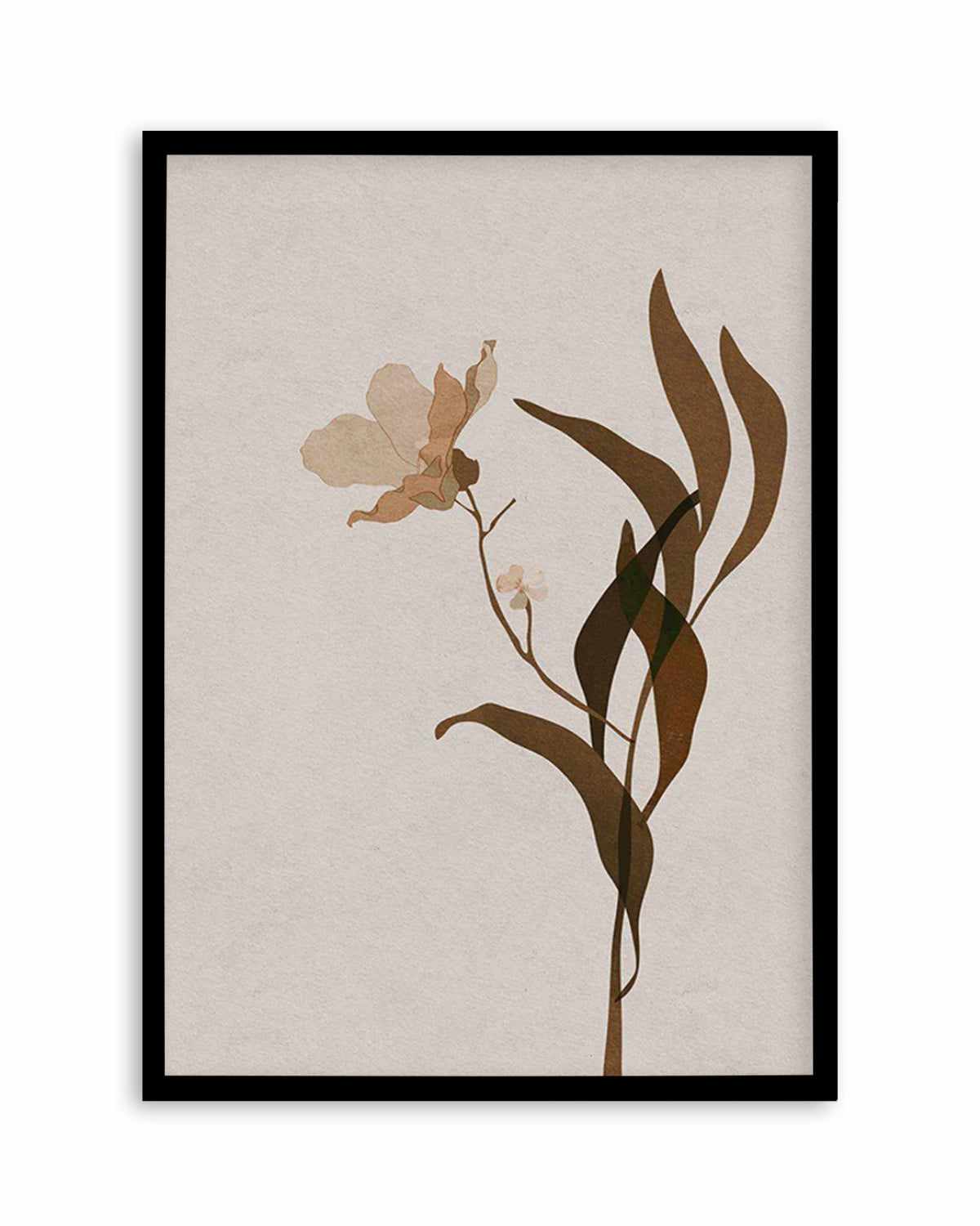 Fleur Graphique III | Brown Art Print