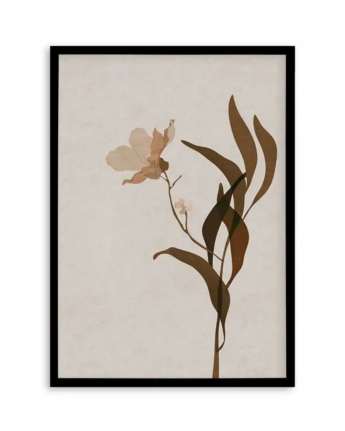 Fleur Graphique III | Brown Art Print from Olive et Oriel where you can shop wallpaper and artworks online