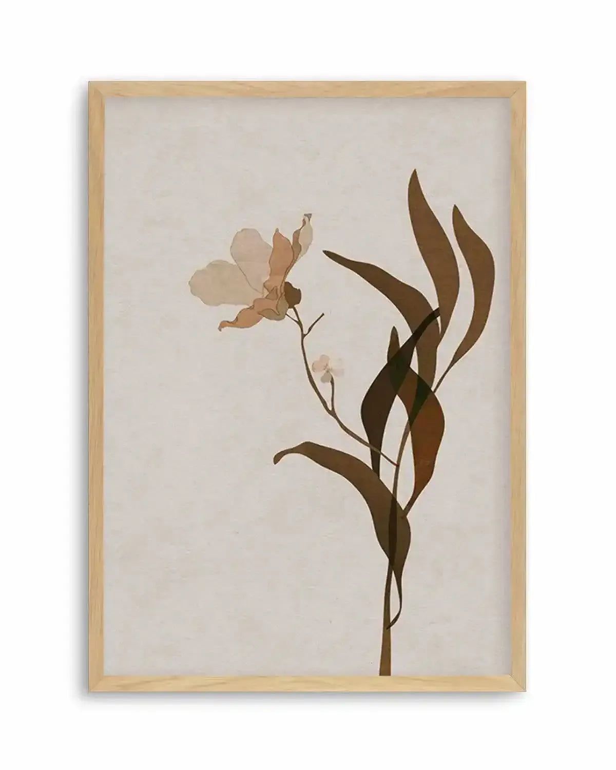 Fleur Graphique III | Brown Art Print from Olive et Oriel where you can shop wallpaper and artworks online