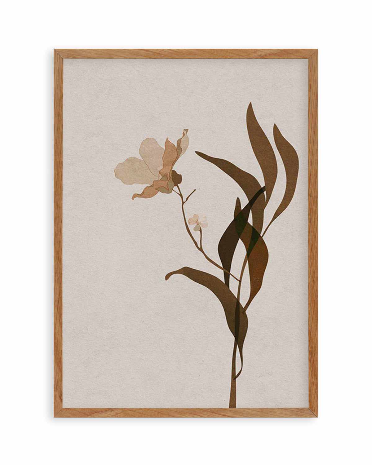 Fleur Graphique III | Brown Art Print