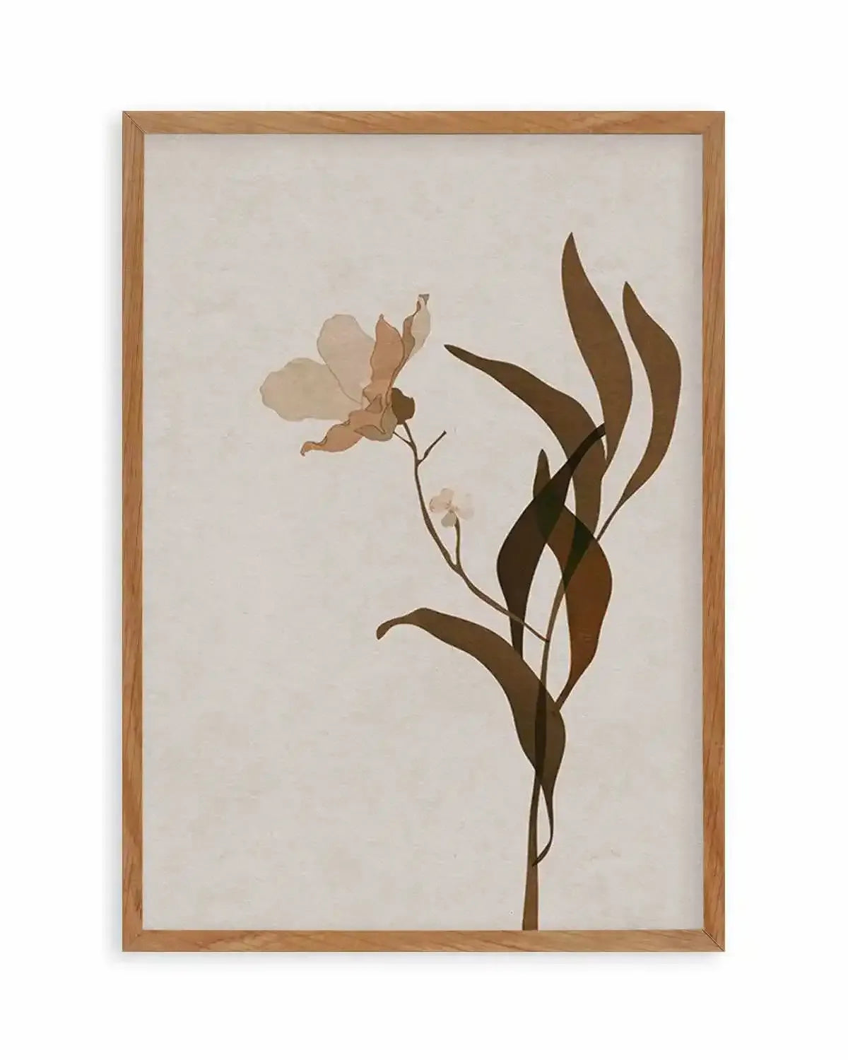 Fleur Graphique III | Brown Art Print from Olive et Oriel where you can shop wallpaper and artworks online