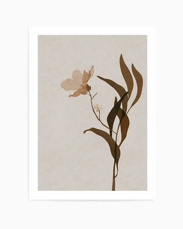 Fleur Graphique III | Brown Art Print brown neutrals art print