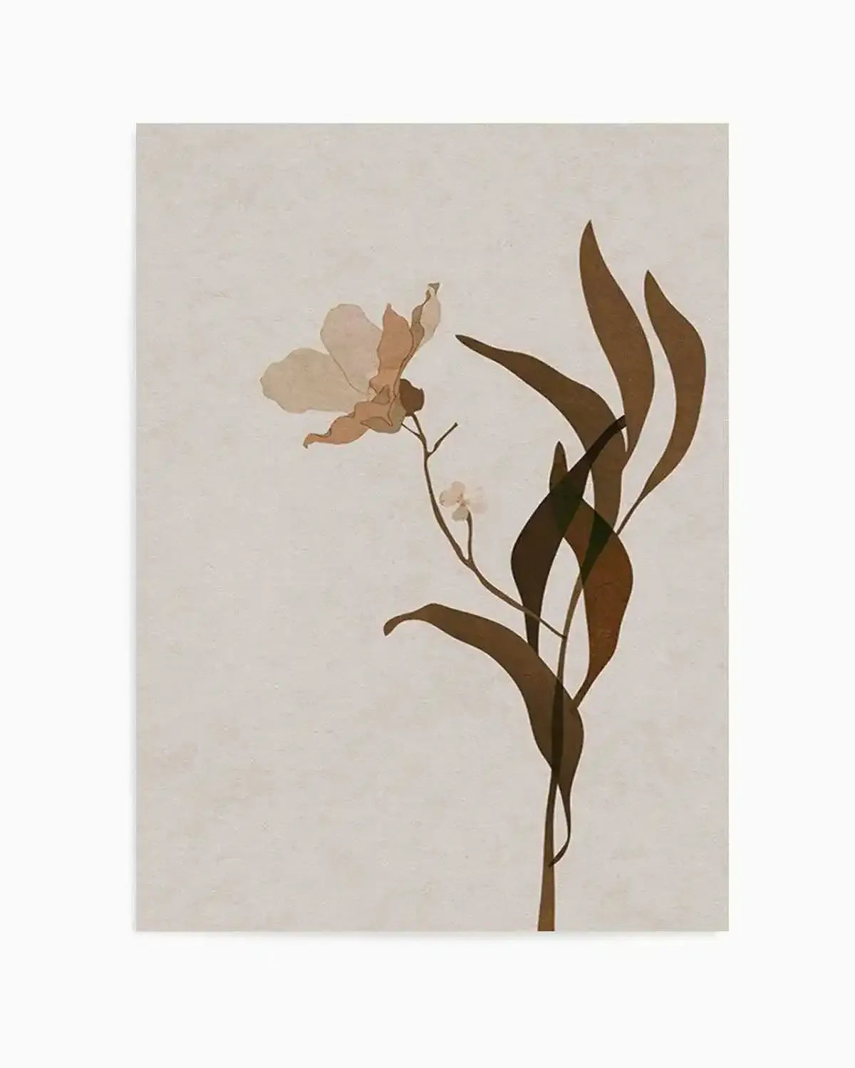 Fleur Graphique III | Brown Art Print from Olive et Oriel where you can shop wallpaper and artworks online