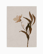Fleur Graphique III | Brown Art Print