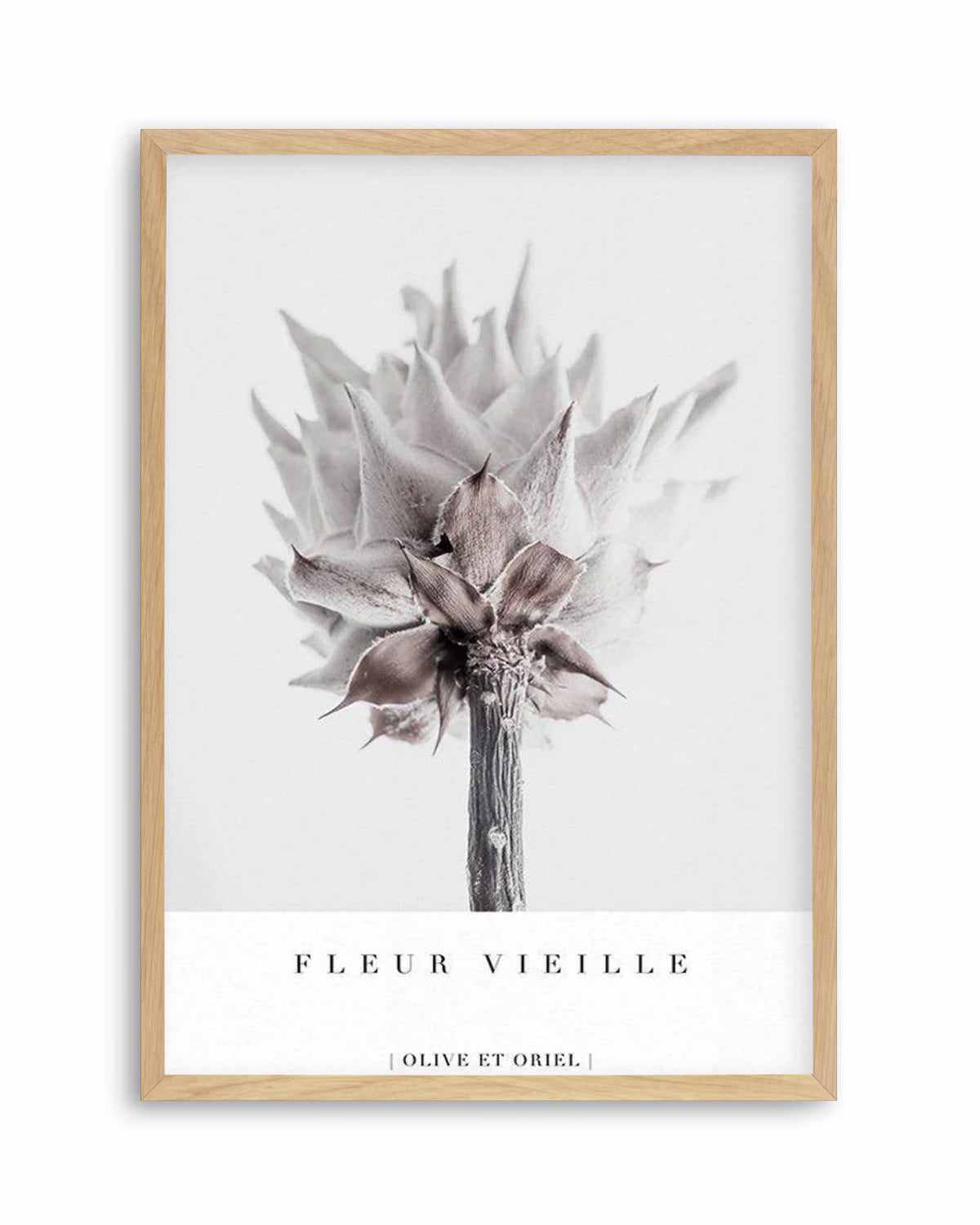 Fleur Vieille | King Protea Art Print