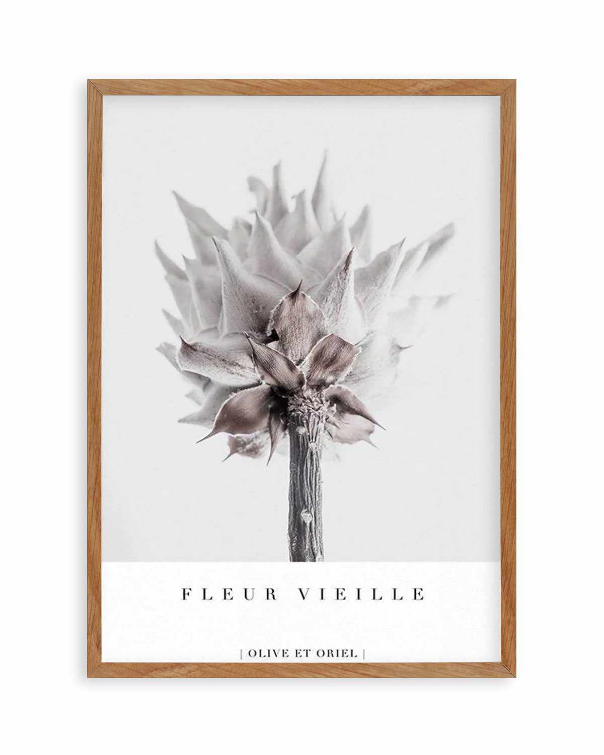 Fleur Vieille | King Protea Art Print