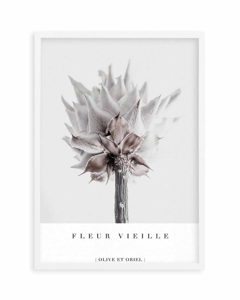 Fleur Vieille | King Protea Art Print