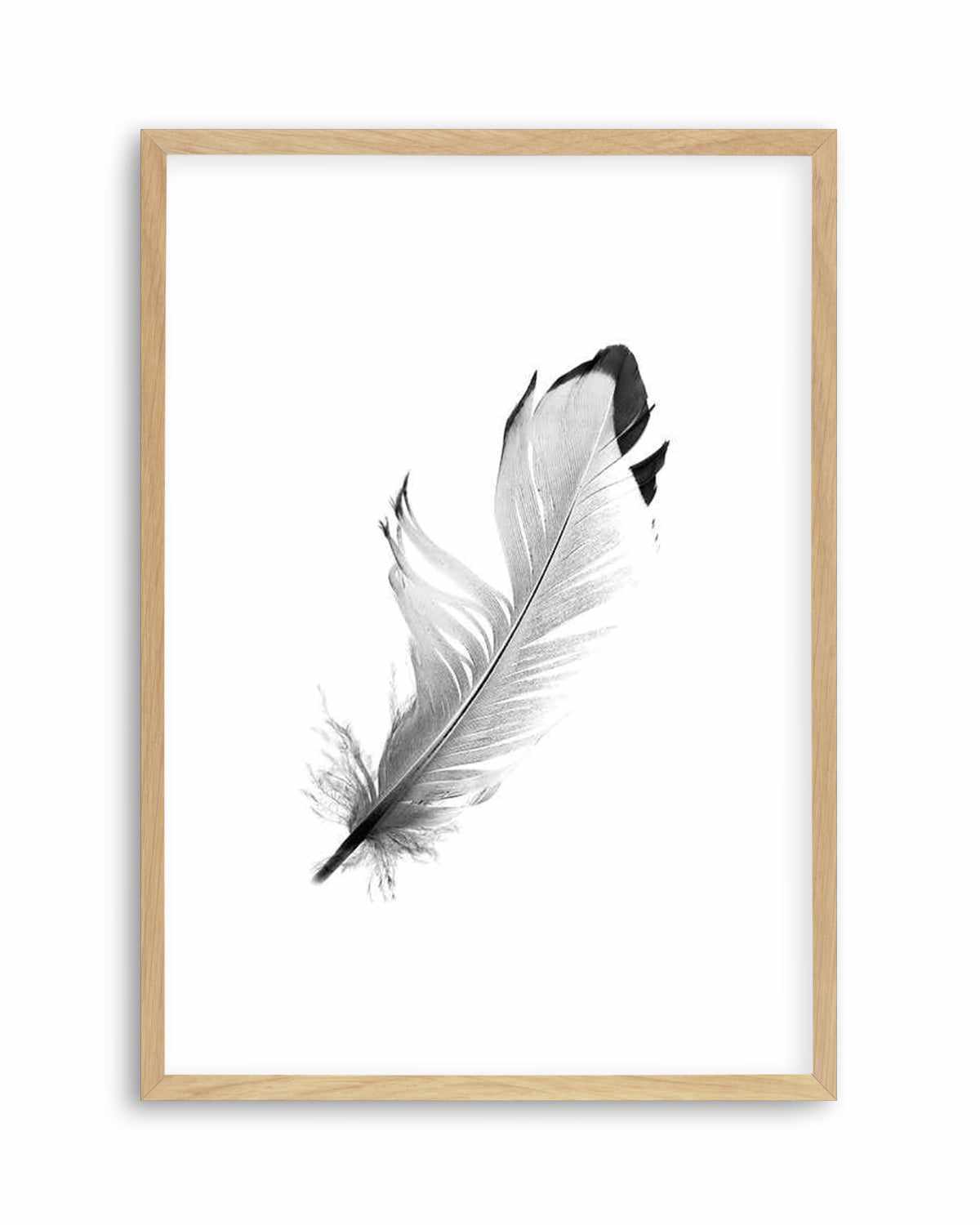 Floating Feather Art Print