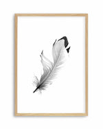 Floating Feather Art Print