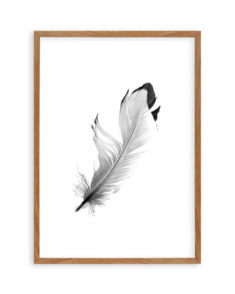 Floating Feather Art Print