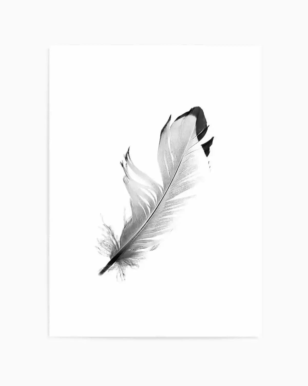 Floating Feather Art Print from Olive et Oriel where you can shop wallpaper and artworks online