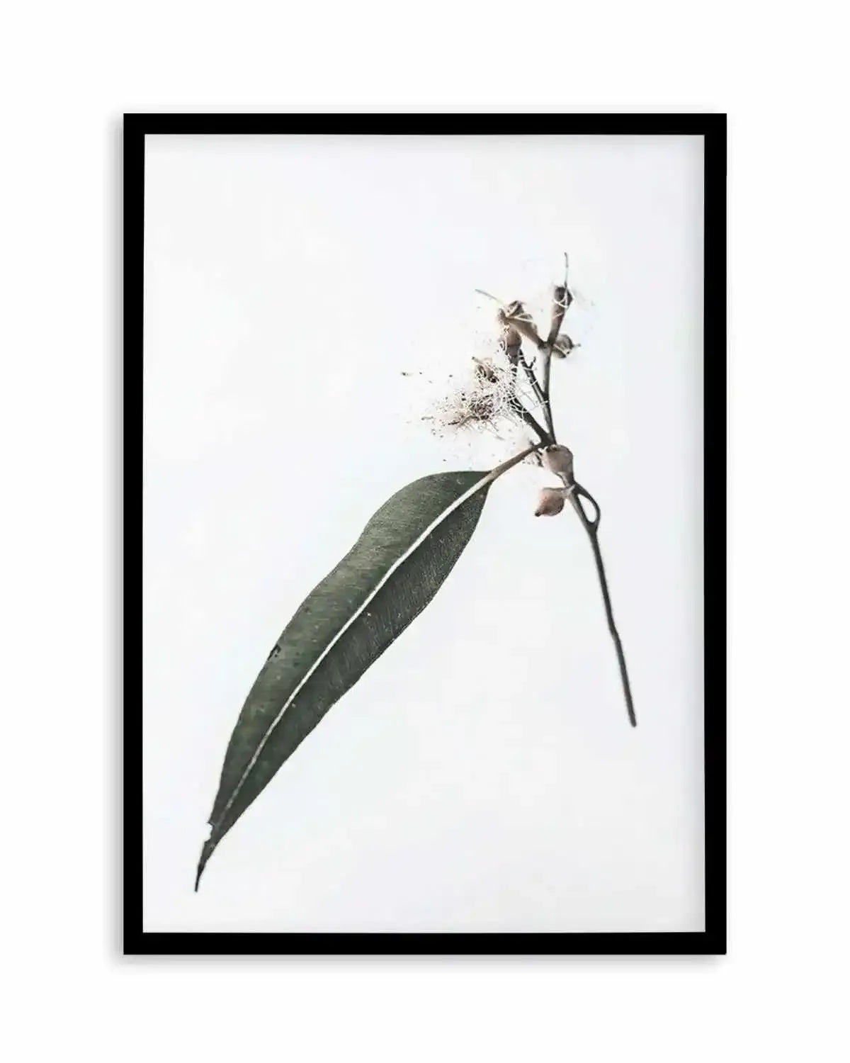 Floating Gum Art Print from Olive et Oriel where you can shop wallpaper and artworks online