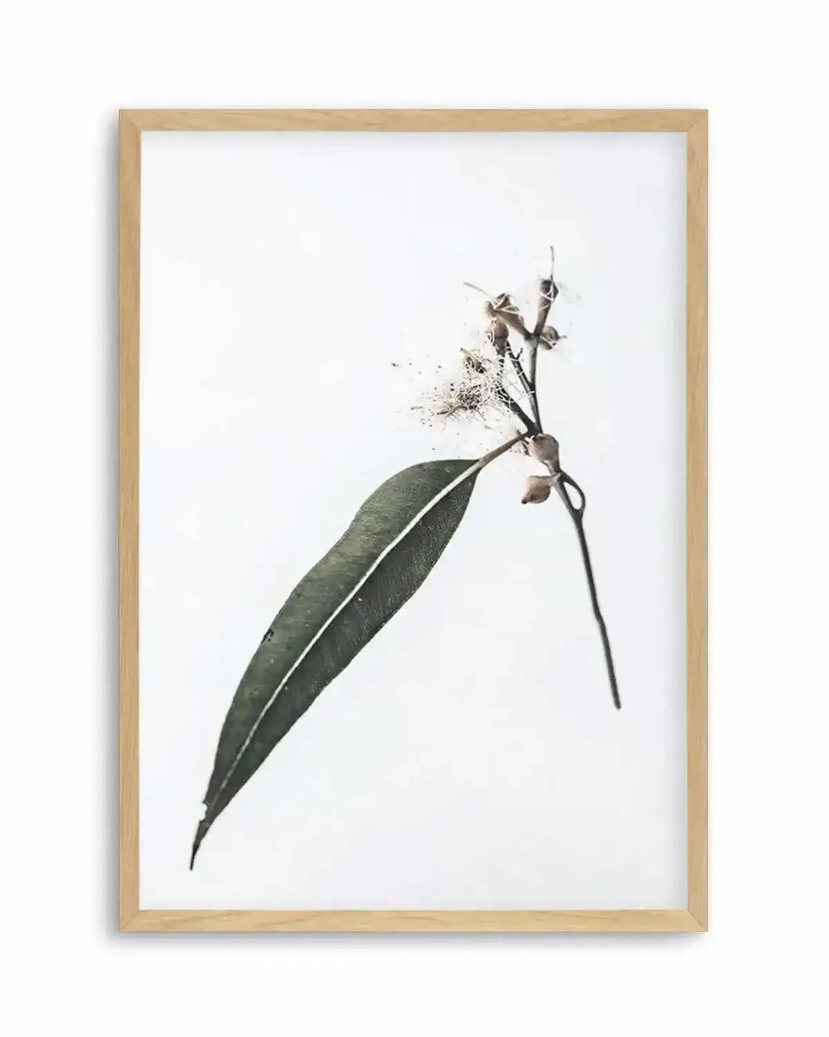 Floating Gum Art Print from Olive et Oriel where you can shop wallpaper and artworks online