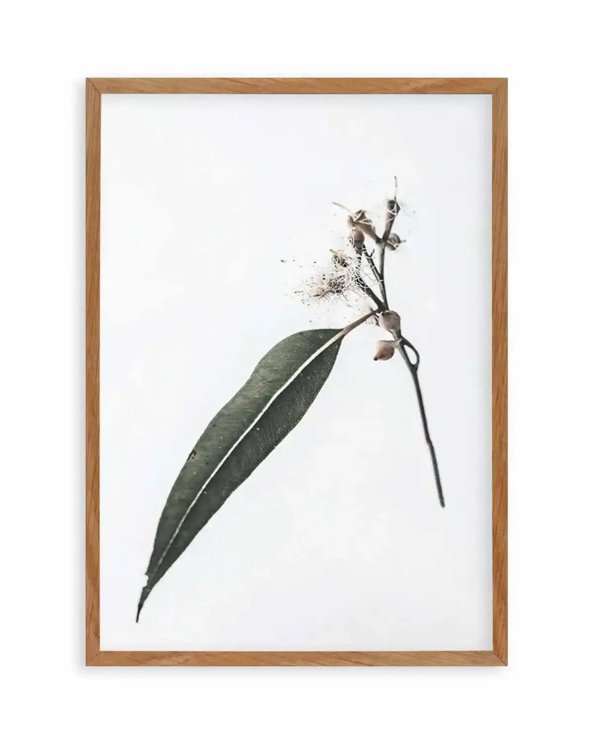 Floating Gum Art Print from Olive et Oriel where you can shop wallpaper and artworks online